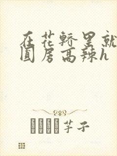 在花轿里就开始圆房高辣h