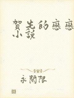 贺先的恋恋不忘小说