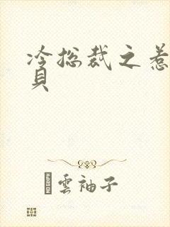 冷总裁之惹火宝贝