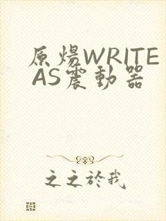原炀WRITE AS震动器