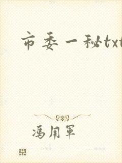 市委一秘txt
