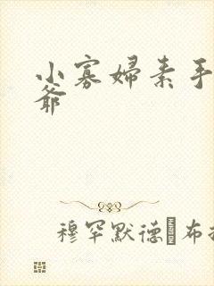 小寡妇素手擒四爷