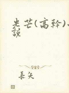 光芒(高干)小说