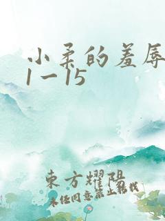 小柔的羞辱日记1一15