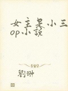 女主是小三的pop小说