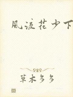 风流花少下载