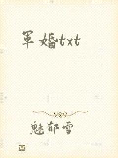 军婚txt