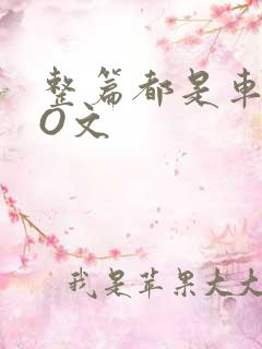 整篇都是车的PO文