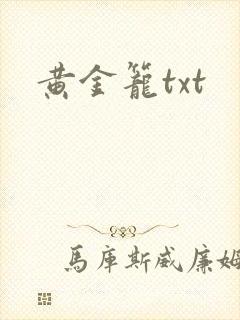 黄金笼txt