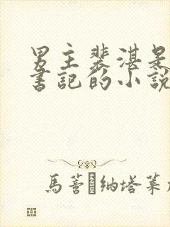 男主裴湛是省委书记的小说