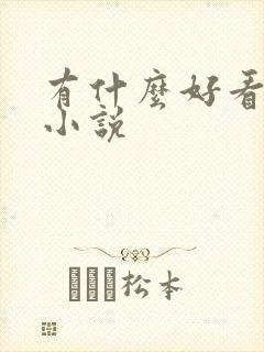 有什么好看的h小说