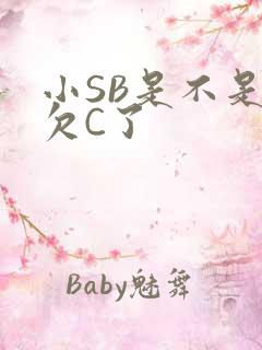 小SB是不是又欠C了