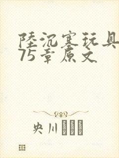 陆沉塞玩具高速75章原文