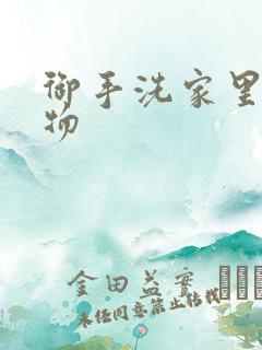 御手洗家里的事物