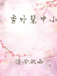 秀外慧中小说