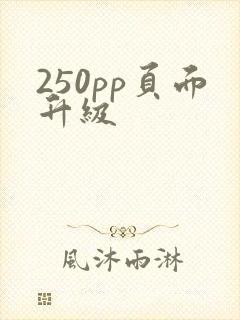 250pp页面升级