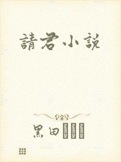 请君小说