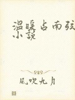 温暖占南弦尹衿小说