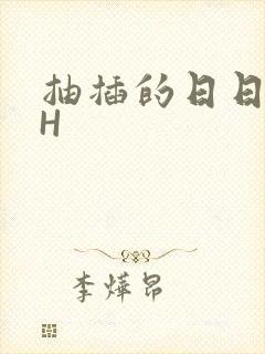 抽插的日日液液H