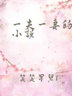 一夫一妻的玄幻小说