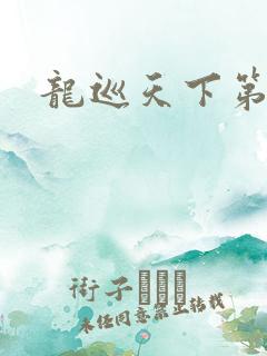 龙巡天下第四部