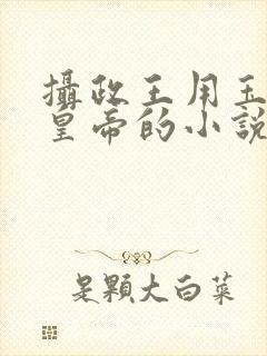 摄政王用玉髓整皇帝的小说