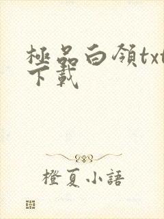 极品白领txt下载