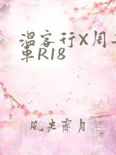 温客行X周子舒车R18