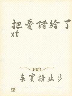 把爱错给了你txt