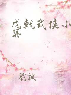 戊戟武侠小说全集