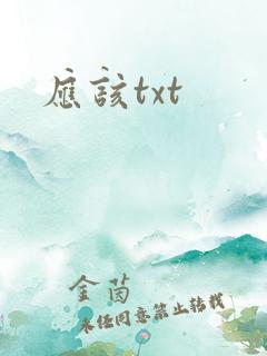 应该txt