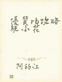 优质rb攻略系统小花