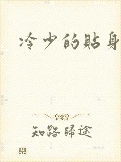 冷少的贴身女人
