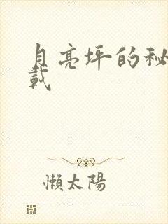 月亮坪的秘密下载