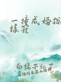 一撞成婚总裁花样宠