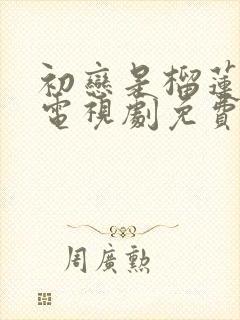 初恋是榴莲先生电视剧免费观看