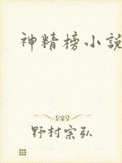 神精榜小说