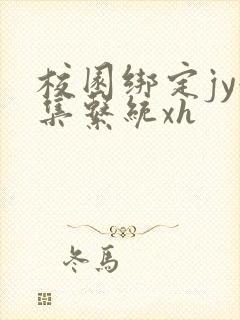 校园绑定jy收集系统xh