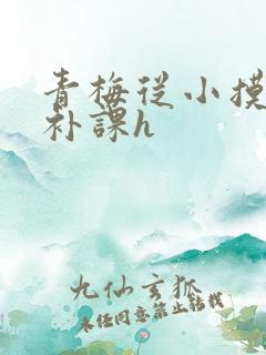 青梅从小摸到大补课h