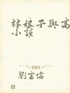 林娘子与高衙内小说