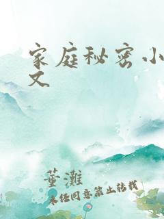 家庭秘密小说全文