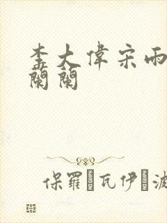 李大伟宋雨睛孙兰兰