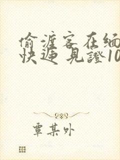 偷渡客在缅北送快递 见证100种逃亡