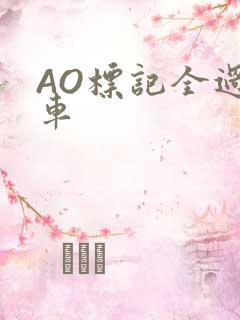 AO标记全过程车