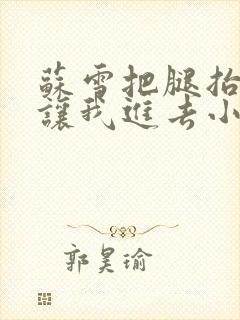 苏雪把腿抬起来让我进去小说