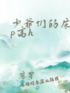 少爷们的床奴np高h