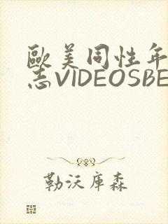 欧美同性年轻同志VIDEOSBEST