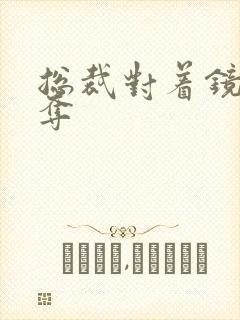 总裁对着镜子掠夺