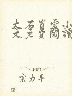 大石肖雪小说全文免费阅读