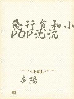 飞行员和小空乘POP沈沉